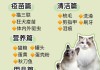 新手养猫该注意什么（新手养猫注意事项初学者养猫注意事项）