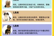 一个月的小狗应该怎么养（一个月的小狗应该怎么养活）