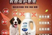 养猫用什么消毒液最好用（养猫用什么消毒液最好用呢）