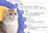 买猫怎么判断猫是否健康（买猫时如何判断小猫是否健康）