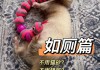 宠物貂拉屎什么样（宠物貂的屎）