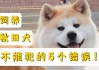 饲养秋田犬不能犯的5个错误!（养秋田犬的缺点）