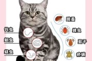 猫咪驱虫能用大宠爱吗有毒吗（猫咪驱虫用大宠爱还需要体内驱虫吗）