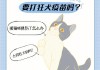 铲屎官该如何避免被猫抓（怎么避免猫抓伤人）