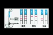 测孕棒怎样看怀孕图片（测孕棒怎样显示是怀孕图片）