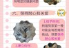 如何让家里的猫接纳新猫（如何让家里猫接受新猫）