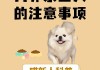 京巴犬怎么喂养（京巴犬怎么喂养最好）