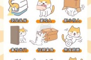 猫咪胆子小怎么训练（猫咪很胆小怎么训练）