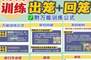 如何奖励狗狗呢?3种方法视频（如何奖励狗狗呢?3种方法视频讲解）