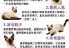 为了暹罗猫健康要定期喂食吗（为了暹罗猫健康要定期喂食吗视频）