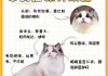 布偶猫怎么喂食才合理（布偶小猫怎么喂养）