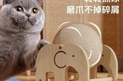 猫老是磨爪子怎么办（猫总是磨爪子怎么办）