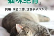 猫没打疫苗可以绝育吗视频（猫没打疫苗可以绝育吗视频讲解）