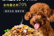 贵宾专用狗粮其他狗能吃吗（贵宾犬粮）