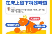 猫咪乱尿的原因和解决方法（防止猫乱尿最有效的方法）