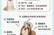 西施犬好打理吗（西施犬好养嘛）