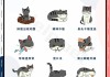 猫咪在什么情况下会出现（猫在什么情况下会生病）