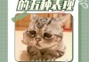 猫咪会抑郁症吗（猫咪会抑郁嘛）