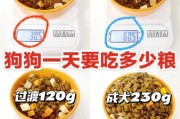 狗狗粮食怎么泡（狗狗粮食怎么泡才好吃）