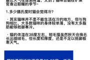 猫咪冬日取暖应该注意些什么（猫冬天取暖）