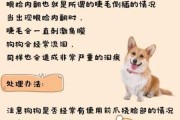 我家狗狗有泪痕怎么治疗啊（狗狗有泪痕怎么办怎么去掉）