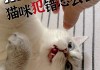 打了猫猫会记仇吗（打了猫会记仇吗?）