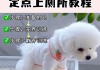 幼犬太小一进笼就叫怎么办（幼犬笼养怎么大小便）