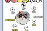 猫猫驱虫怎么驱（猫咪驱虫小妙招）