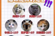 猫太肥胖会影响健康吗（猫太胖会影响寿命吗）