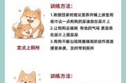 教你怎样训练萨摩耶犬狗（如何训练萨摩耶幼犬）