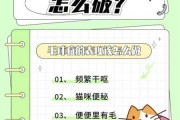 猫得毛球症会拉稀吗（猫患了毛球症怎么办）