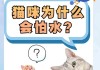 猫猫为啥怕水（猫为啥那么怕水）