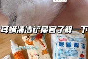 猫咪怎么清洁（猫咪怎么清洁耳螨）