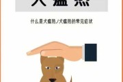 什么是犬瘟热的表现（犬瘟热是什么意思?）