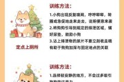 哈士奇幼犬怎么训练（哈士奇幼犬怎么训练听话）