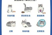 猫咪随便拉屎怎么办（猫咪随便拉屎怎么办啊）