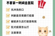 猫咪受伤了怎么办（猫咪受伤了怎么办?擦什么药）