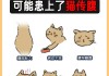 猫咪肠道阻塞症状（猫咪肠阻梗症状）