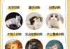 猫猫要怎么训练（猫猫怎么训练大小便）