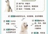 每次训练阿富汗猎犬的时间多长为最佳?（阿富汗猎犬速度快不）