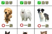 如何挑选一只健康的幼犬ppt（怎样挑健康的狗）