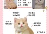 矮脚猫的腿（矮脚猫的腿分几种）