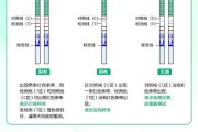 测孕棒怎么看图解图片（测孕棒怎样看怀孕图片）