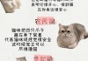 怎么训练你的猫咪语言（怎么训练猫恭喜）