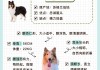 苏格兰牧羊犬成长过程（苏格兰牧羊犬年龄）