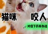 猫半夜故意吵主人（猫咪半夜嗷嗷叫咬人）