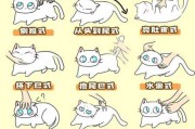 如何训练猫咪抓猫抓板（怎么训练猫咪抓猫抓板）