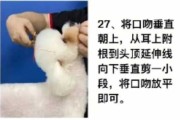 贵宾犬怎么训练拿东西（贵宾犬怎么训练才听话）