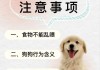 养狗狗需要注意什么?（养狗狗需要注意什么细节）