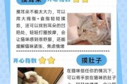 如何让猫咪乖乖的（如何让猫咪乖巧）